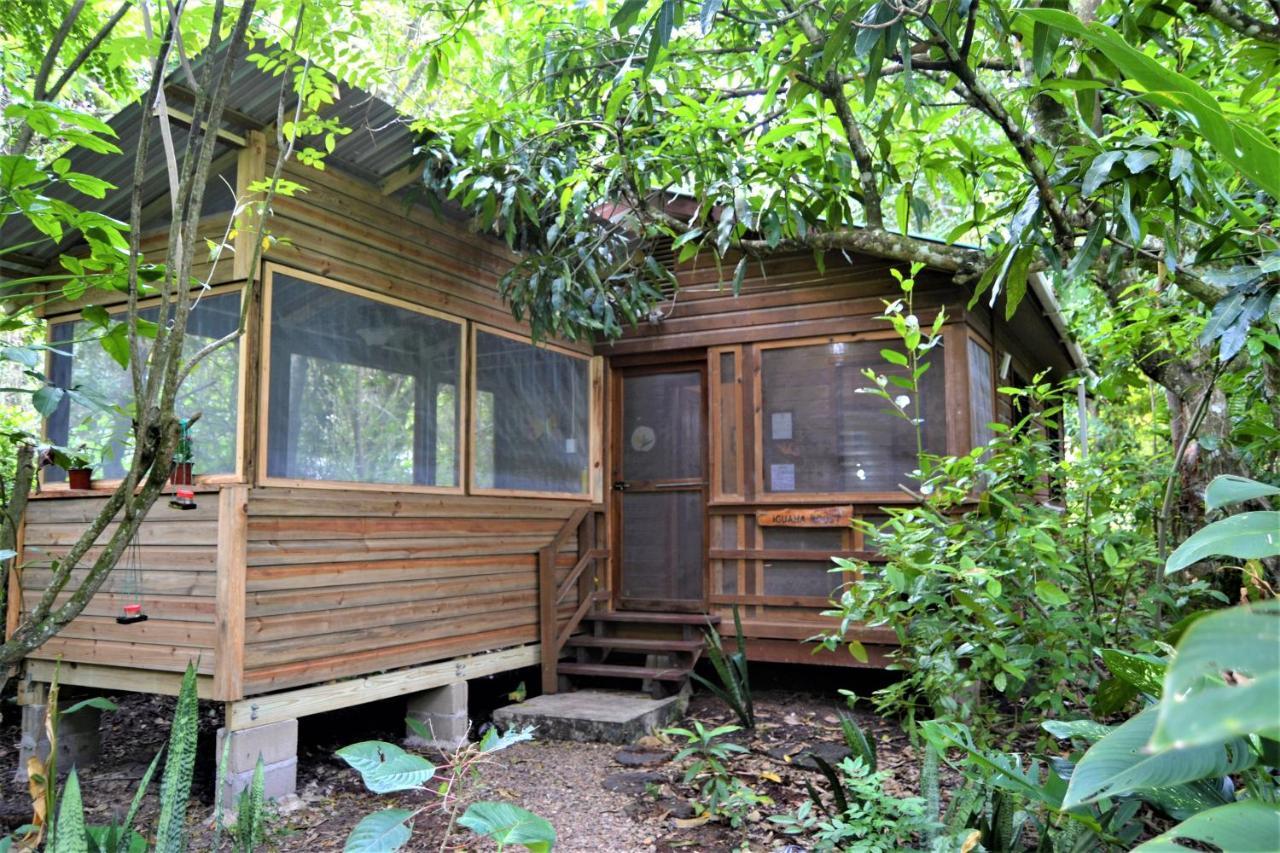 Iguana Roost Tourism Gold Standard Fully Equipped Two Bedroom Cabin San Ignacio Exterior foto