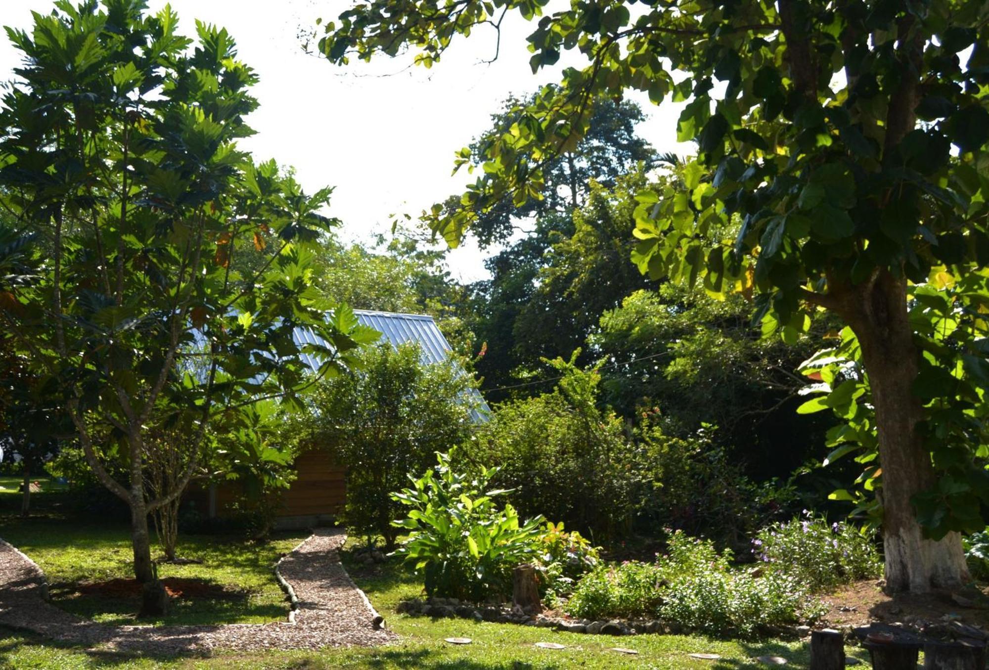 Iguana Roost Tourism Gold Standard Fully Equipped Two Bedroom Cabin San Ignacio Exterior foto