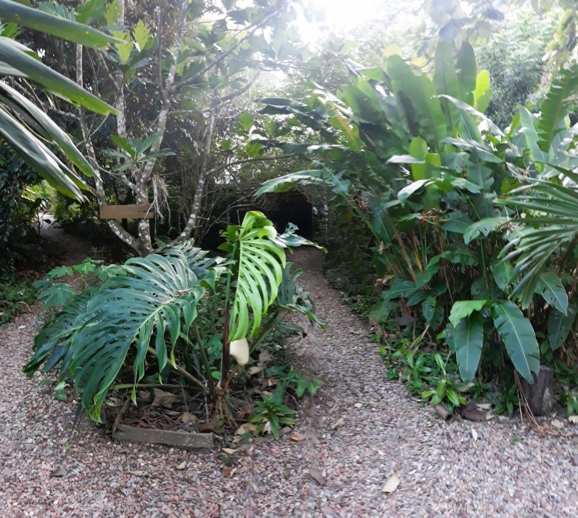 Iguana Roost Tourism Gold Standard Fully Equipped Two Bedroom Cabin San Ignacio Exterior foto
